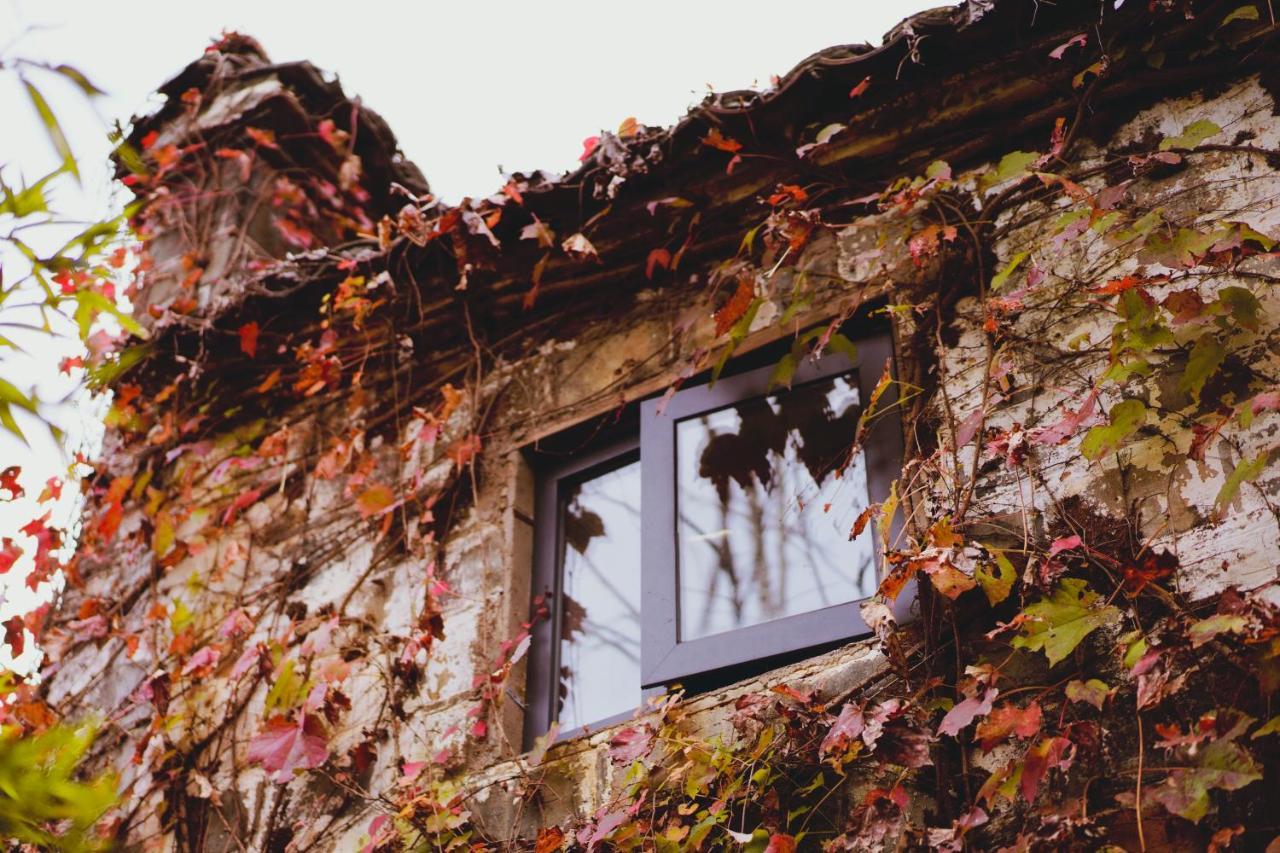 Wuyuan Qiye Yanxiang Guesthouse ภายนอก รูปภาพ